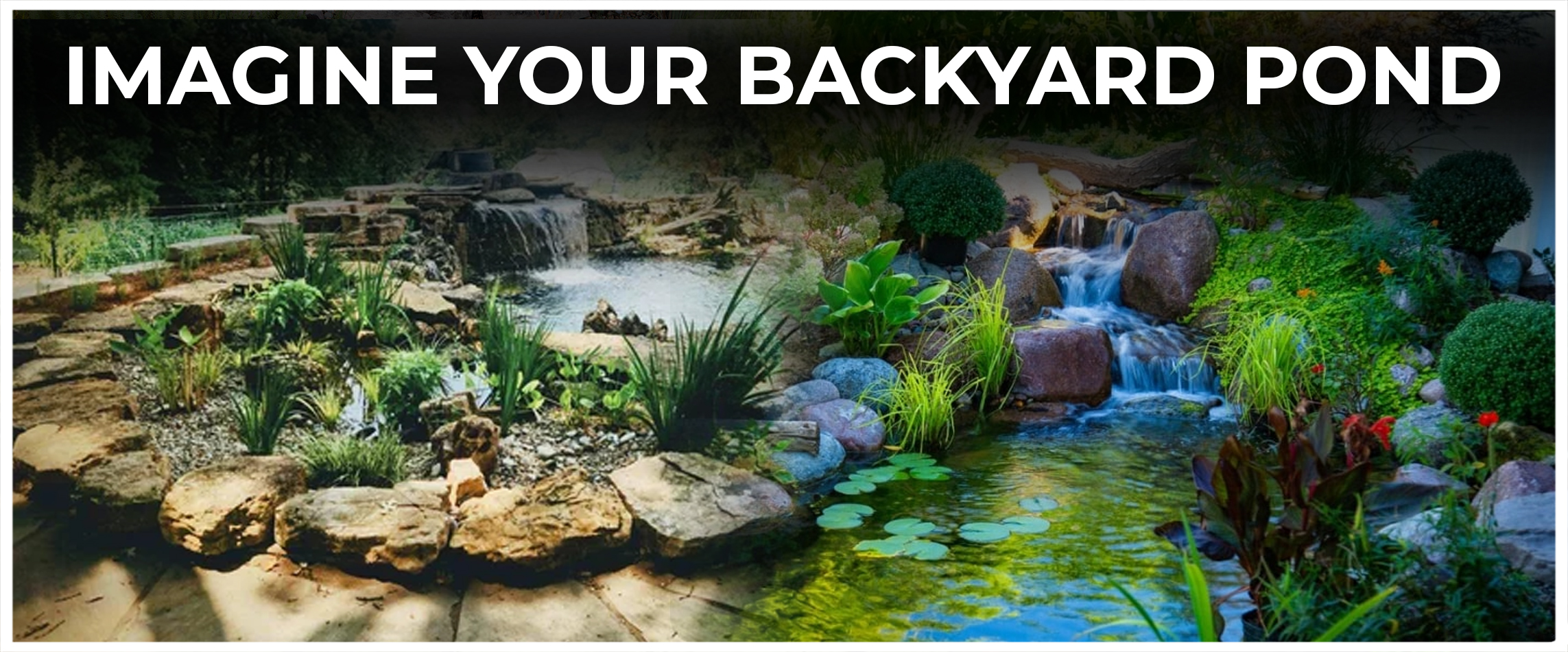  Imagine Your Backyard Pond