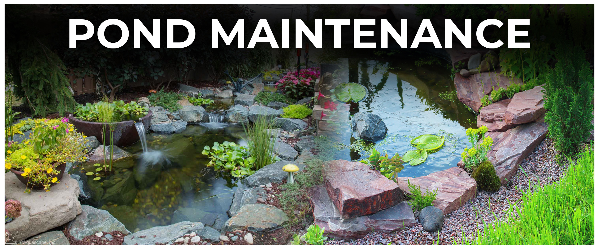  Pond Maintenance