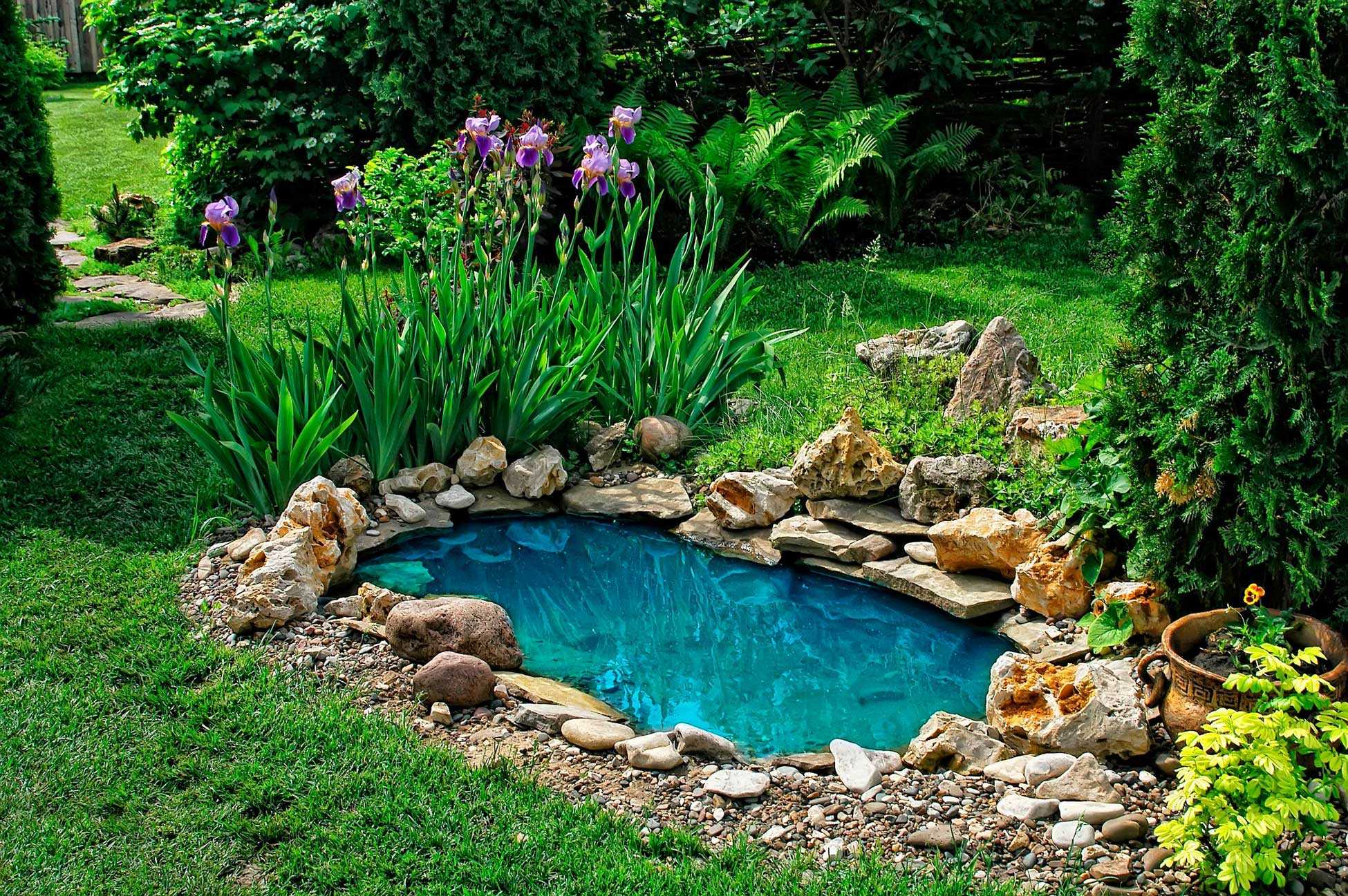Need To Find Pond Builders