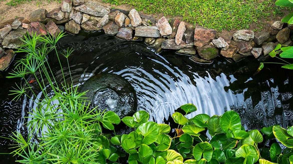 The Importance of Pond Cleaning Services, And How To Properly Clean Your Pond