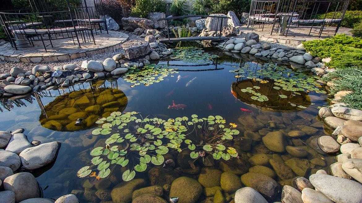 How To Properly Maintain Your Pond