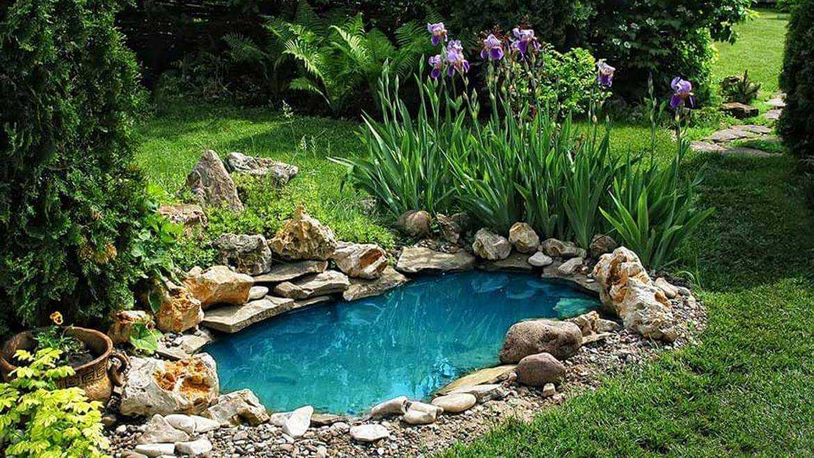 Properly Install A Pond In Your Own Backyard