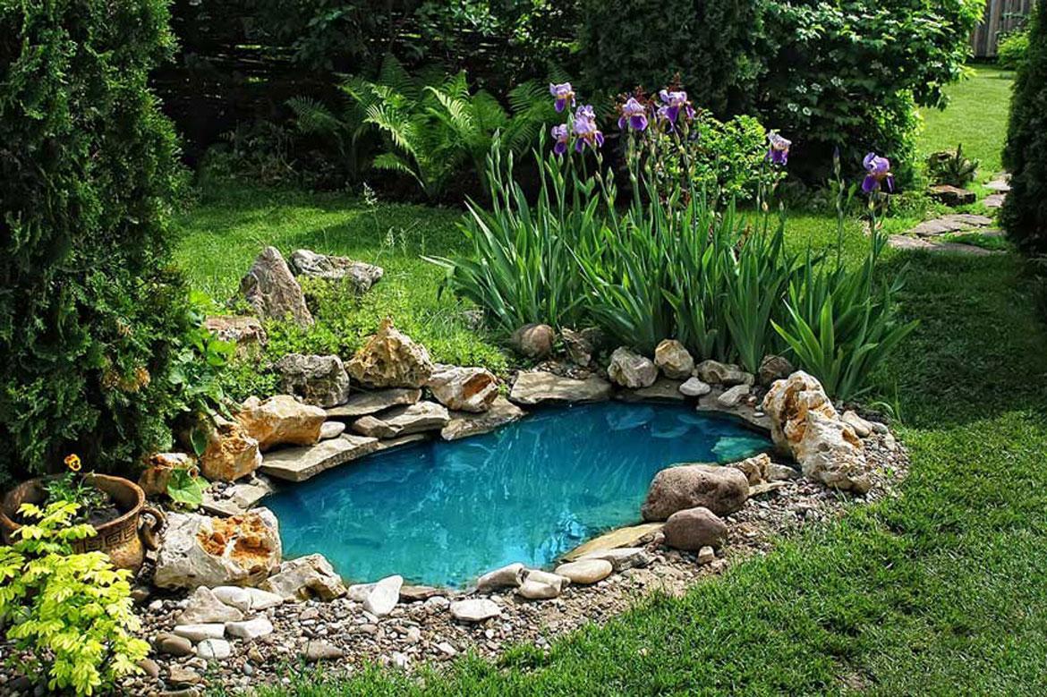 Pond Plants You Need To Have In Your Garden