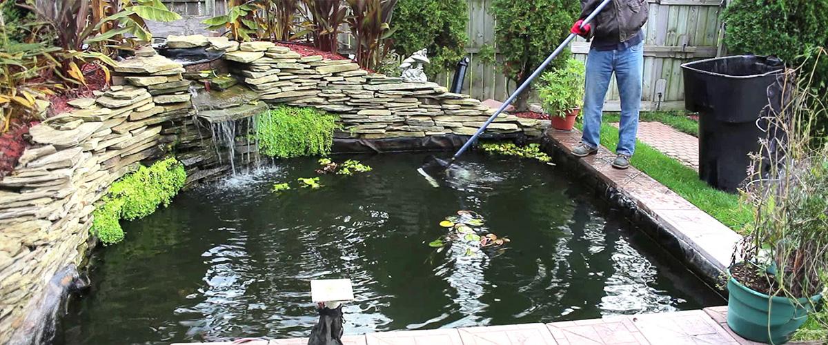 Koi Pond cleaning