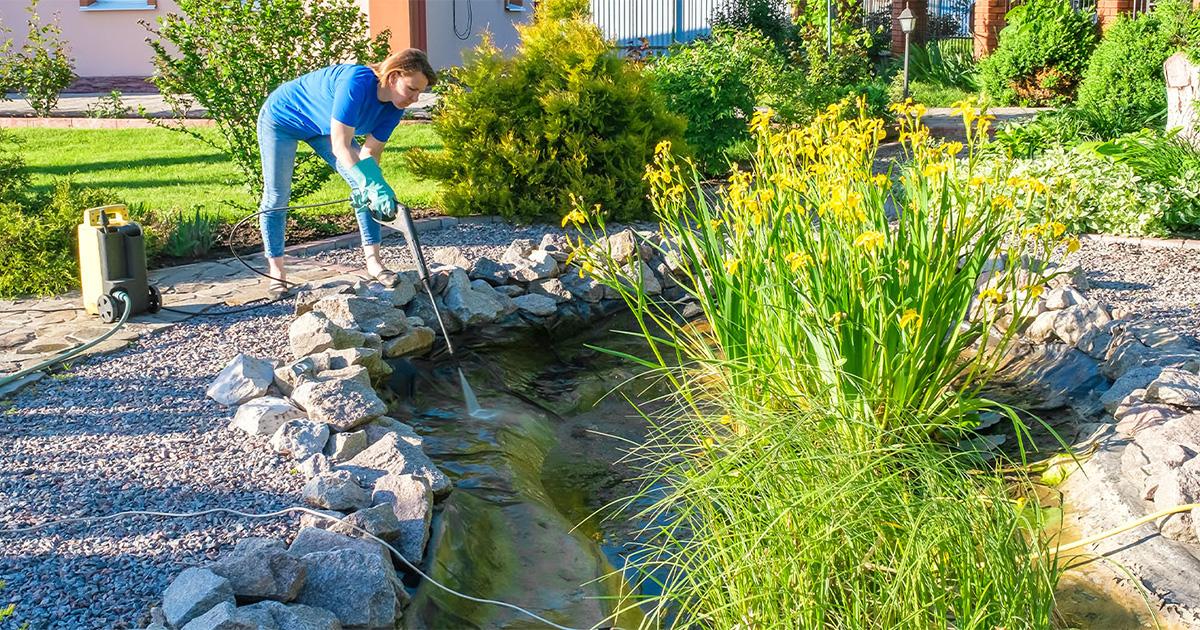 Koi Pond Cleaning & Maintenance Tips 