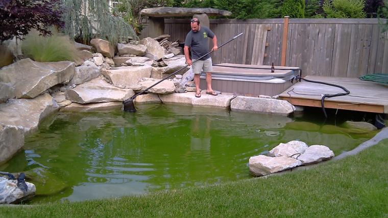 9 Steps On How To Clean A Koi Pond Back To Beautiful