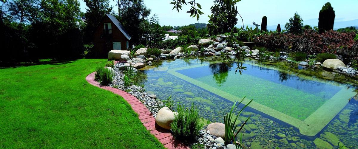 backyard pond