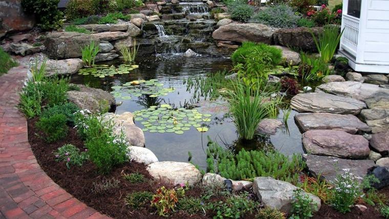 Complete Guide to Build the Ideal Backyard Pond