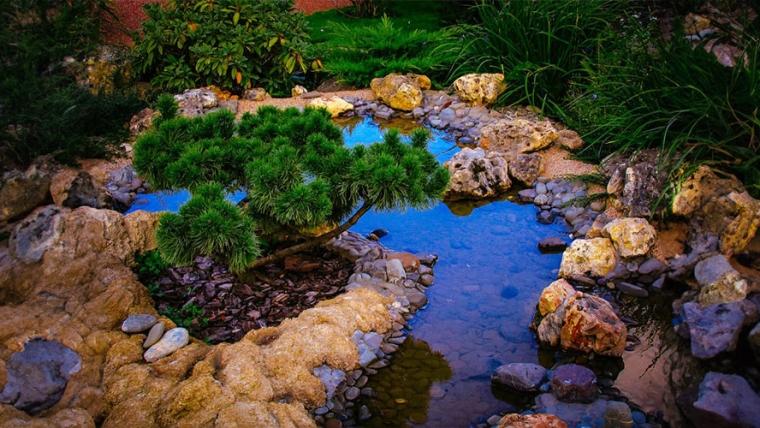How To Build A Pond: A Step By Step Expert Guide