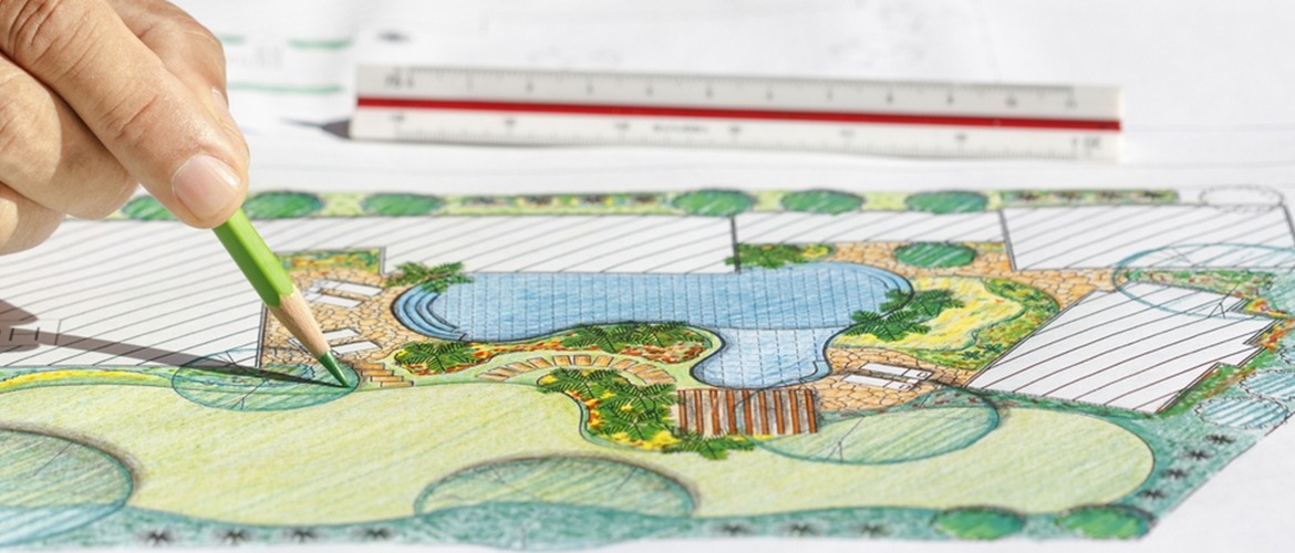 9 Top Tips for Building a Pond From Scratch