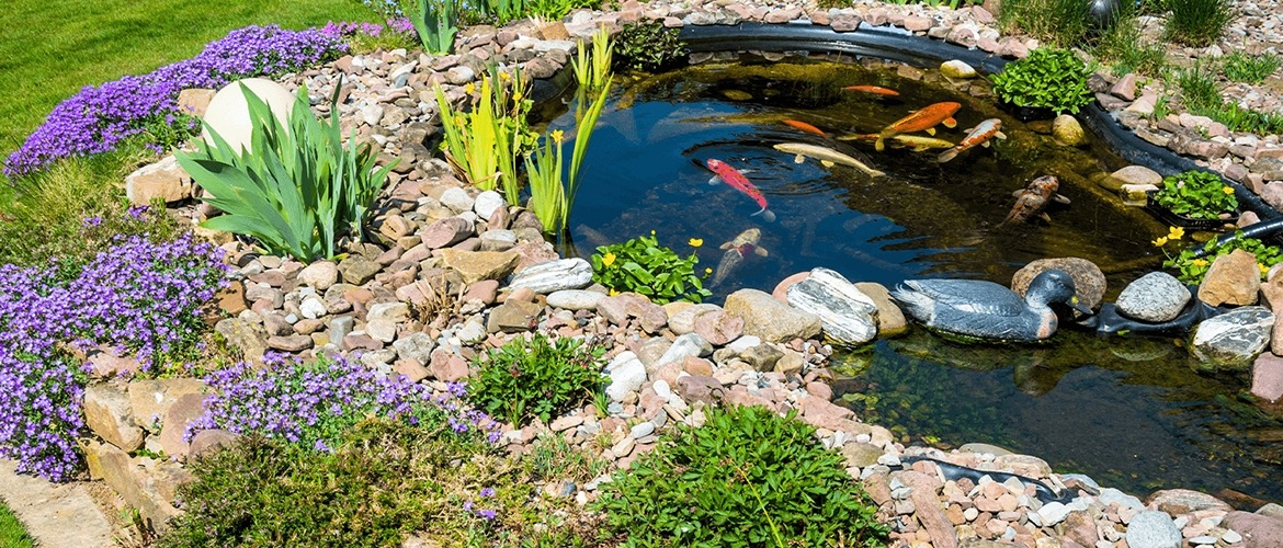 Do Koi Ponds Or Water Features Add Value To Your Home?