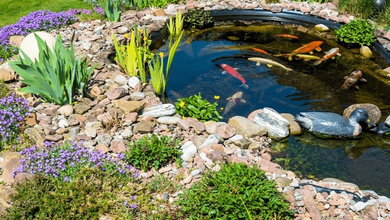 Do Koi Ponds Or Water Features Add Value To Your Home?