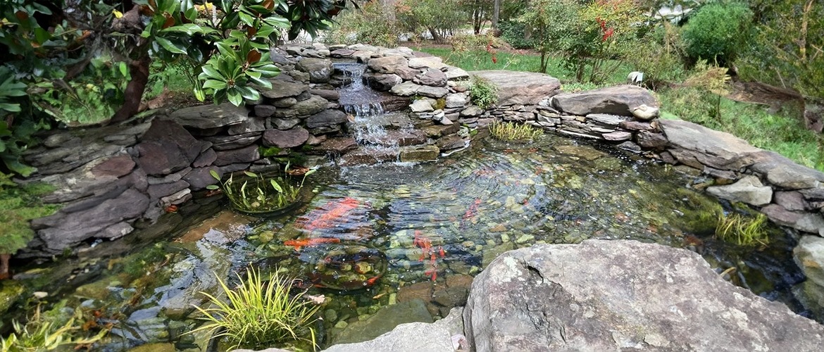 How to Build a Pond or Water Garden in Your Yard (9 Steps To Keep In Mind)