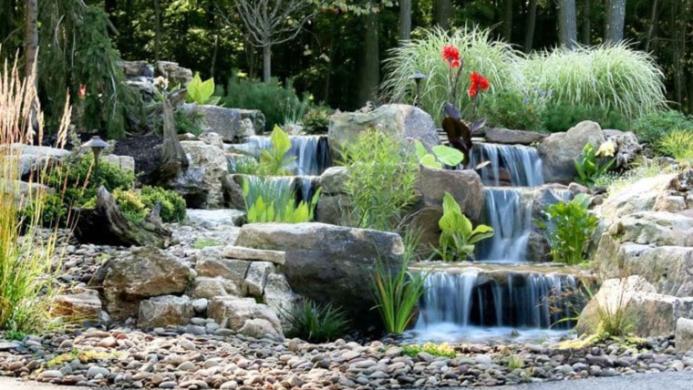 Top 5 Pondless Waterfall Plants