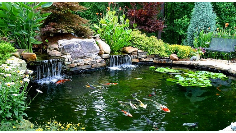 Before Building A Koi Pond Ask Yourself These 20 Questions