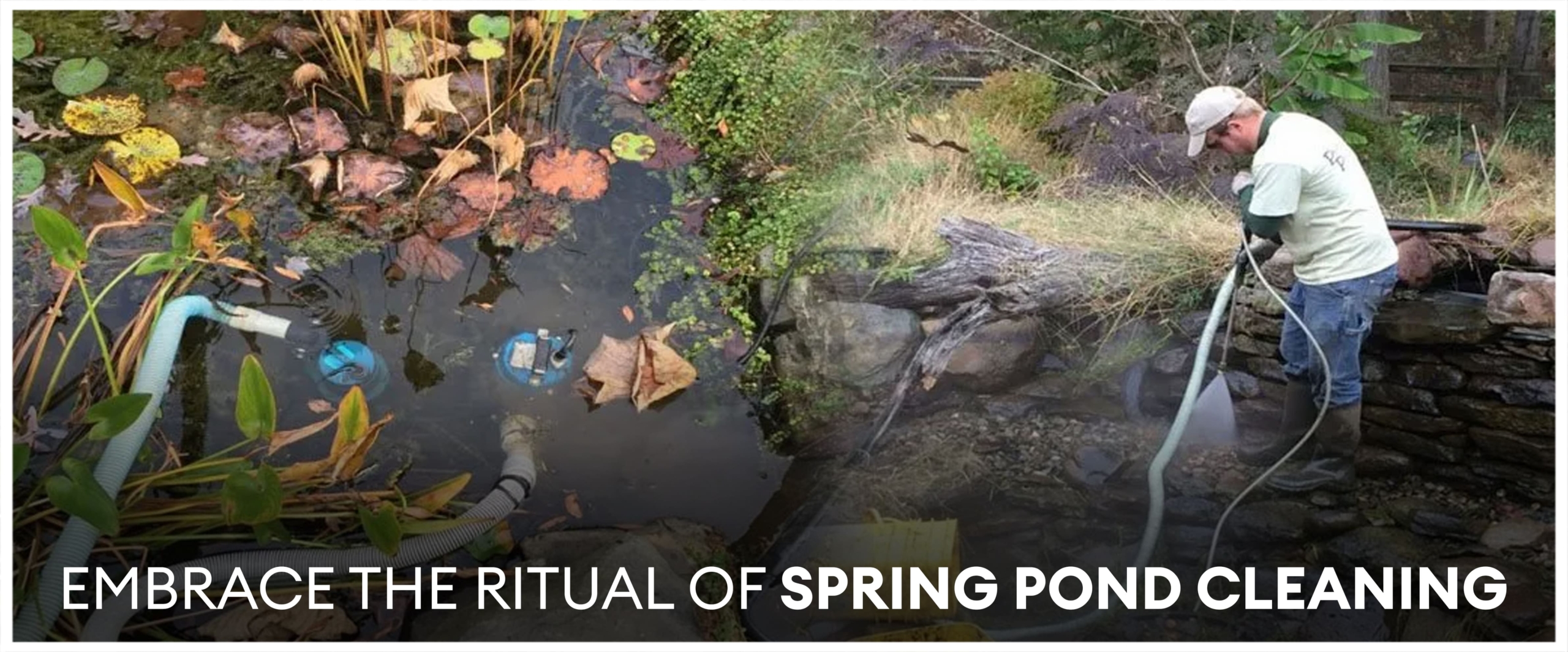 Koi Pond Ready For Spring
