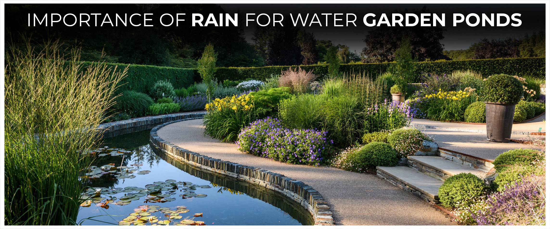 Importance of Rain for Water Garden Ponds