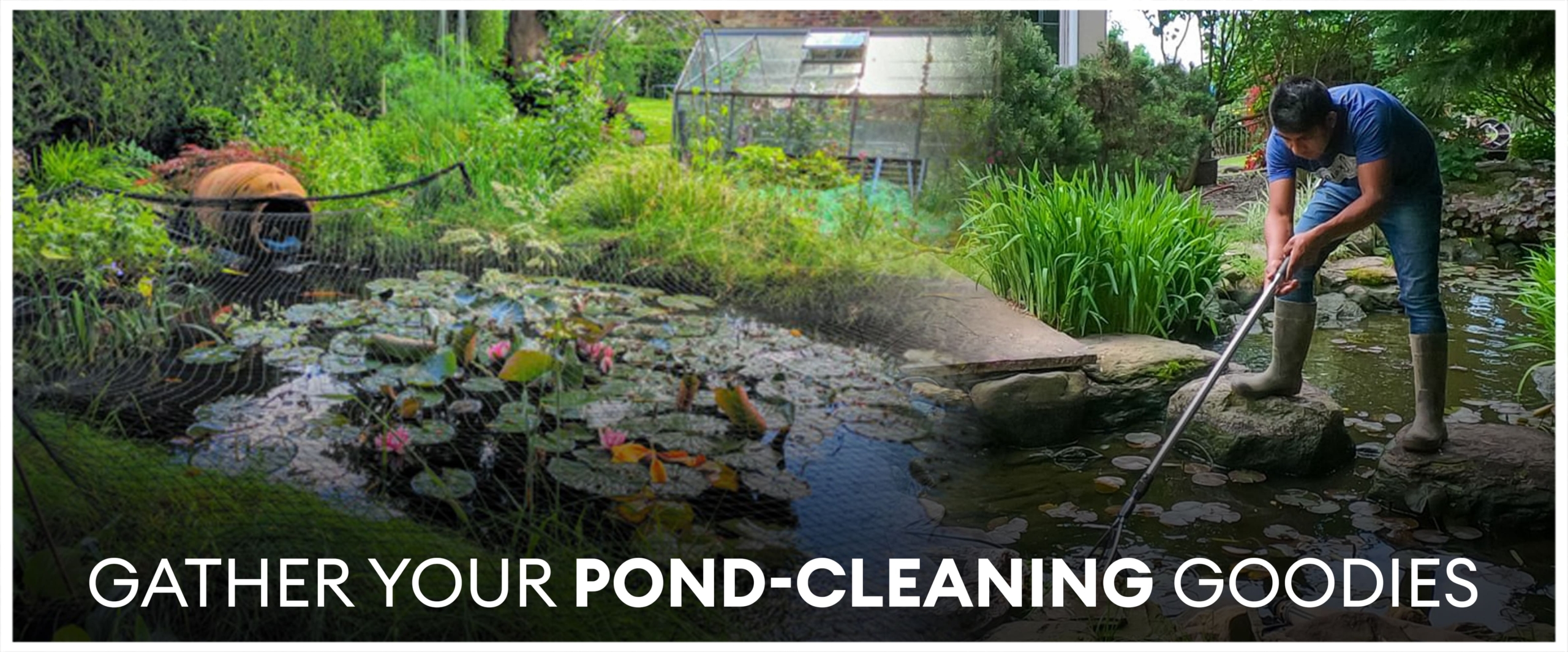 Gather Your Pond-Cleaning Goodies: