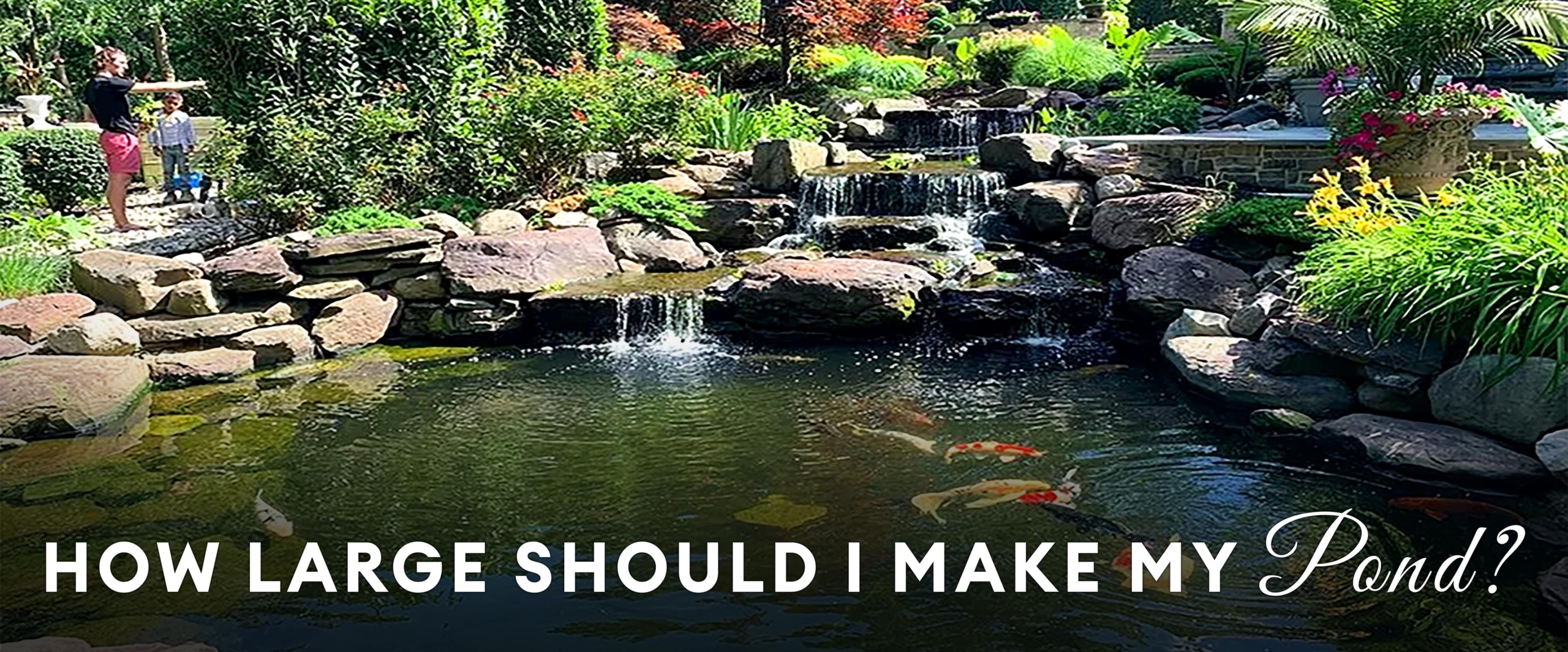 How-large-should-I-make-my-pond