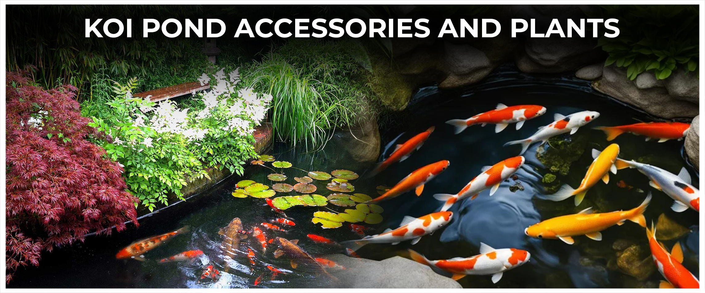 Koi Pond Accessories and Plants