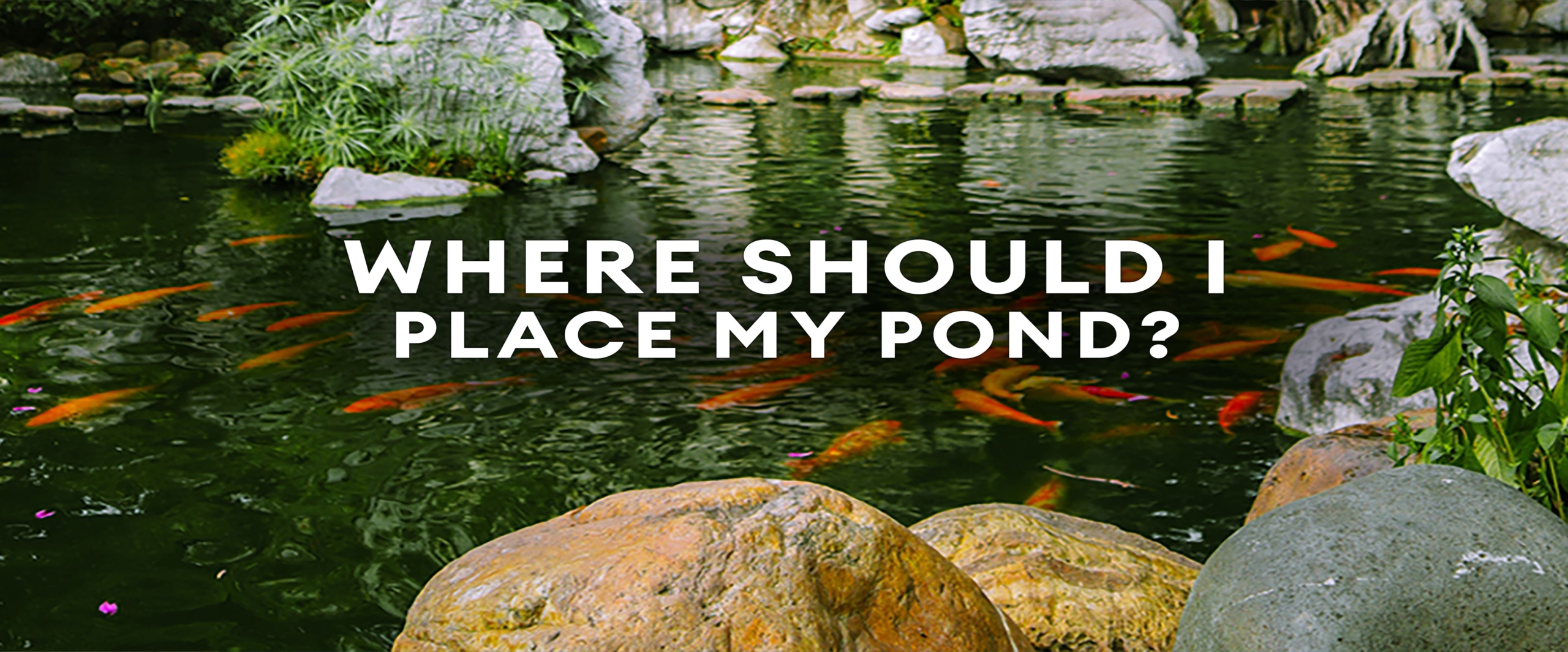 Where should I place my pond-min
