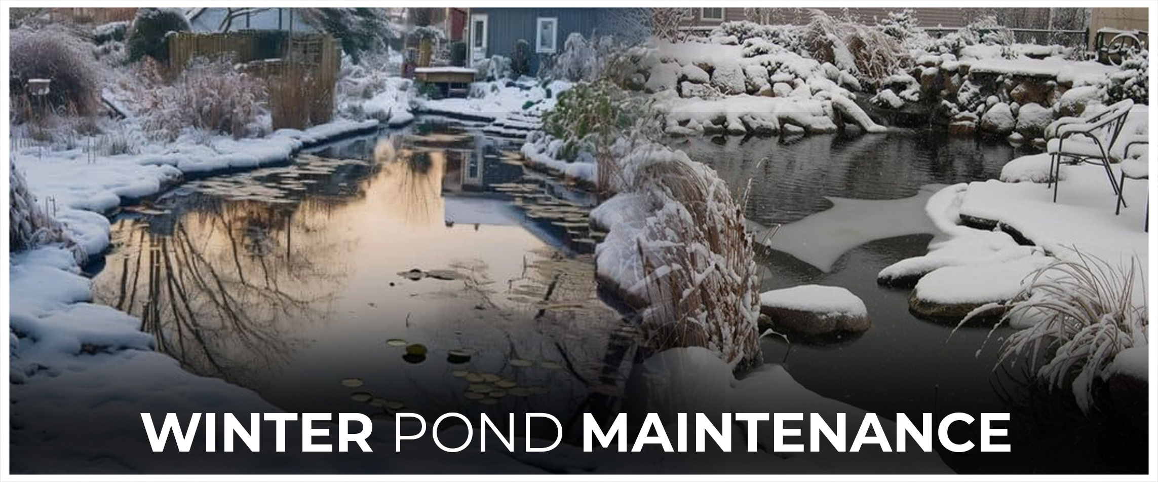 Winter Pond Maintenance