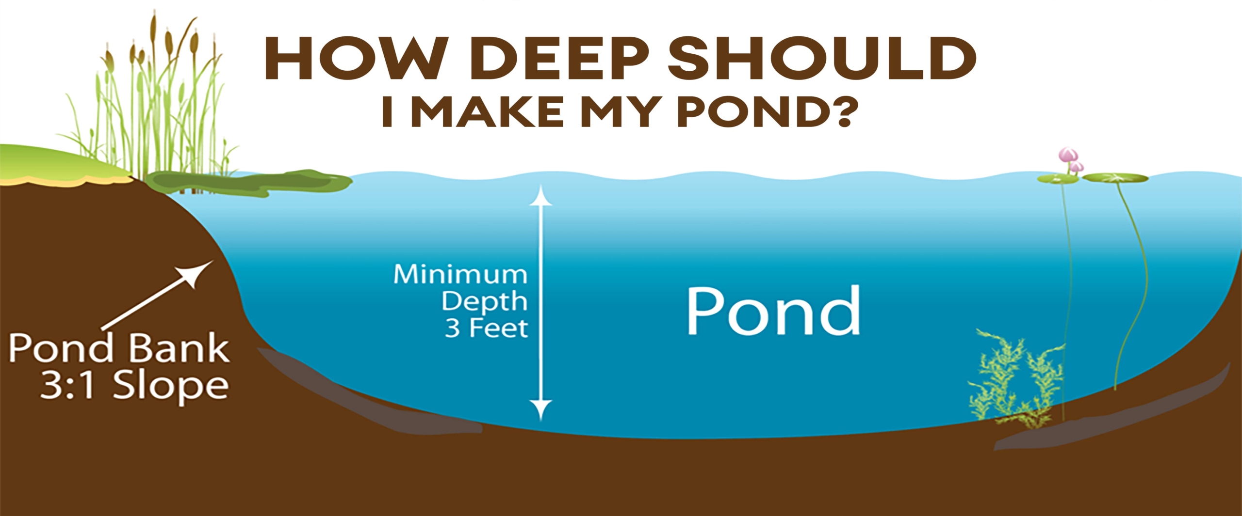 How deep should I make my pond-min