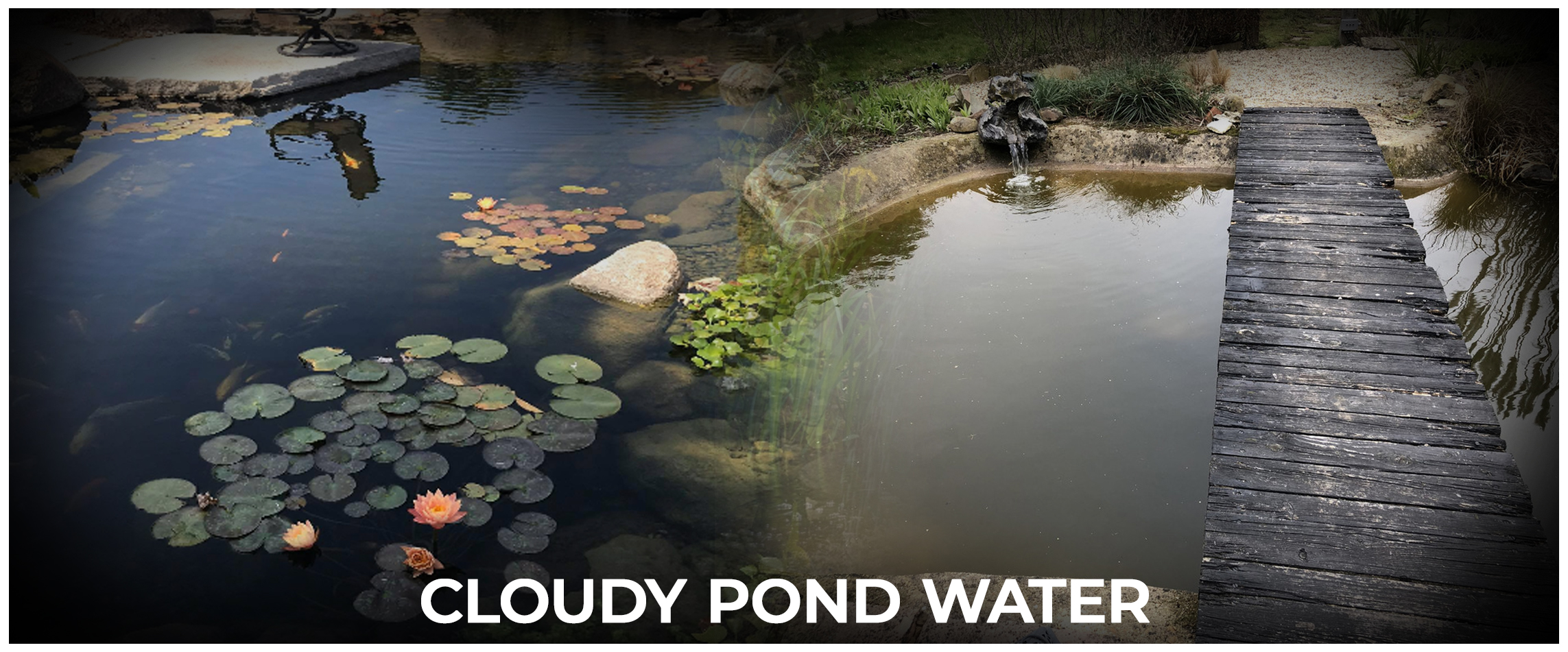  Cloudy Pond Water