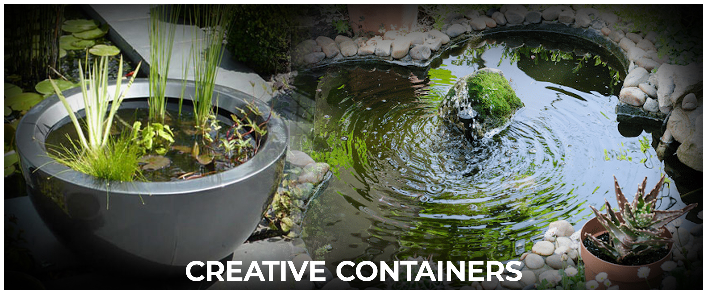  Creative Containers