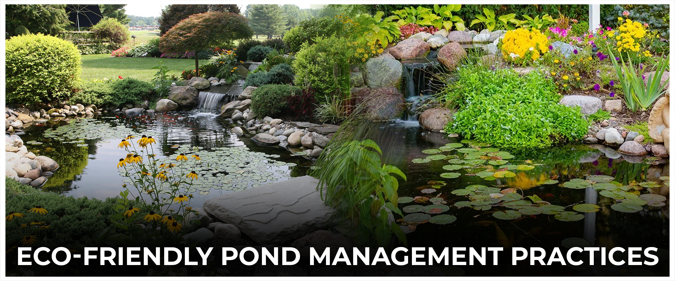  Eco-Friendly Pond Management Practices