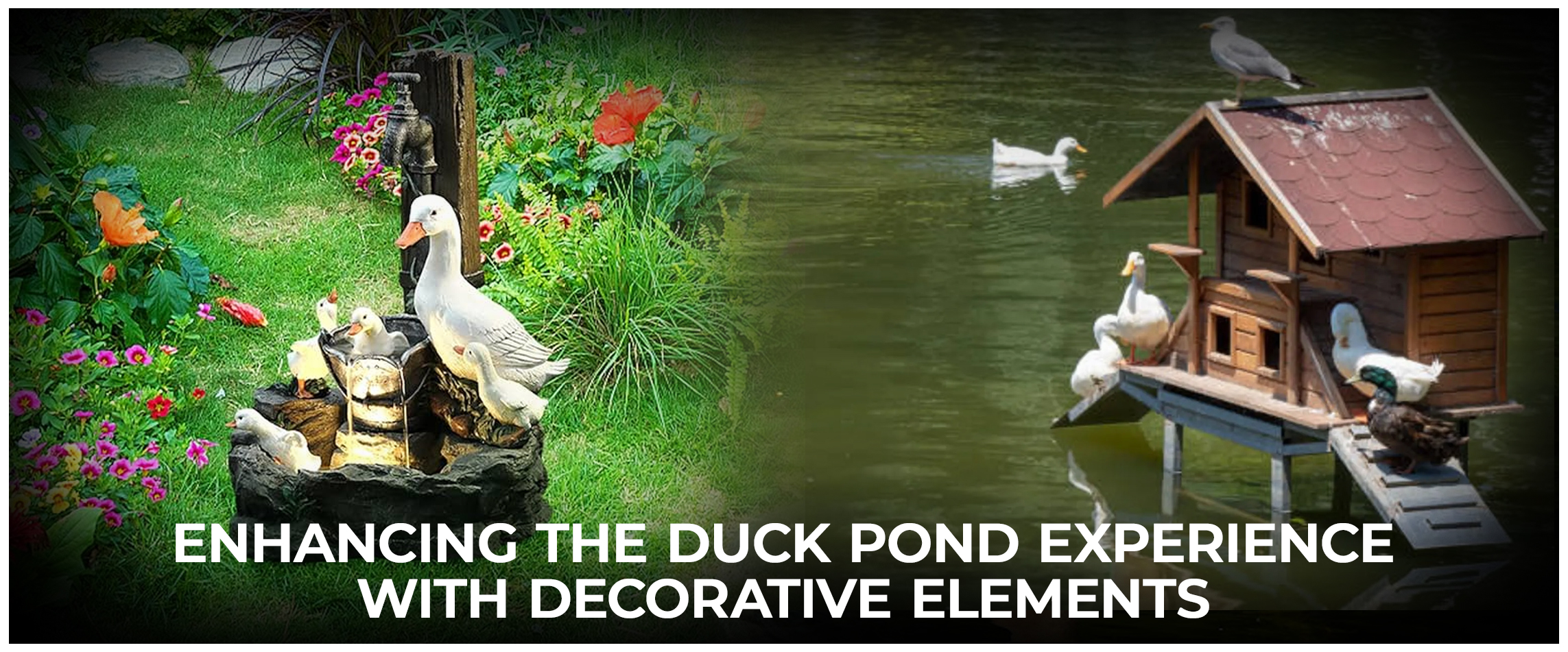  Enhancing the Duck Pond Experience with Decorative Elements