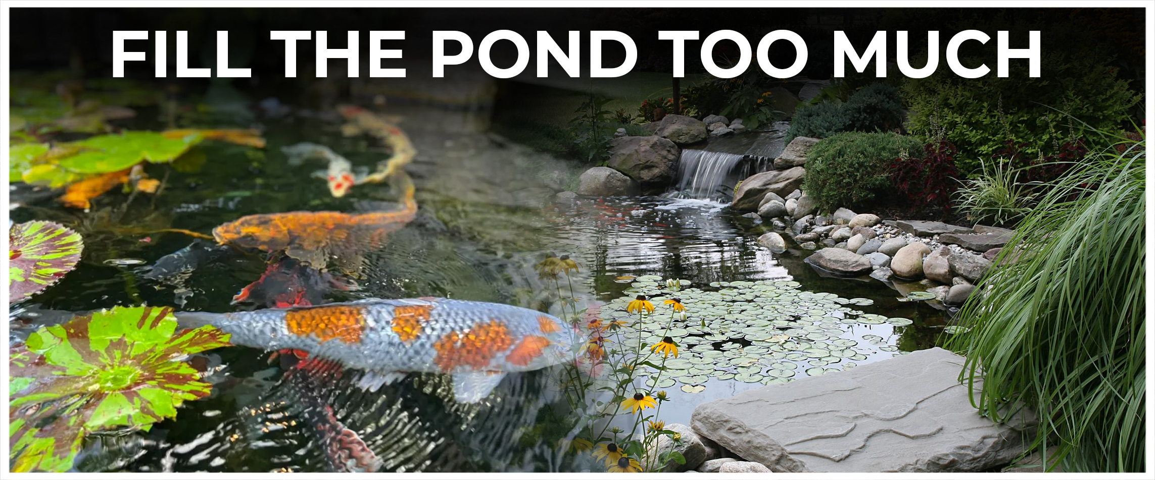  Fill The Pond Too Much