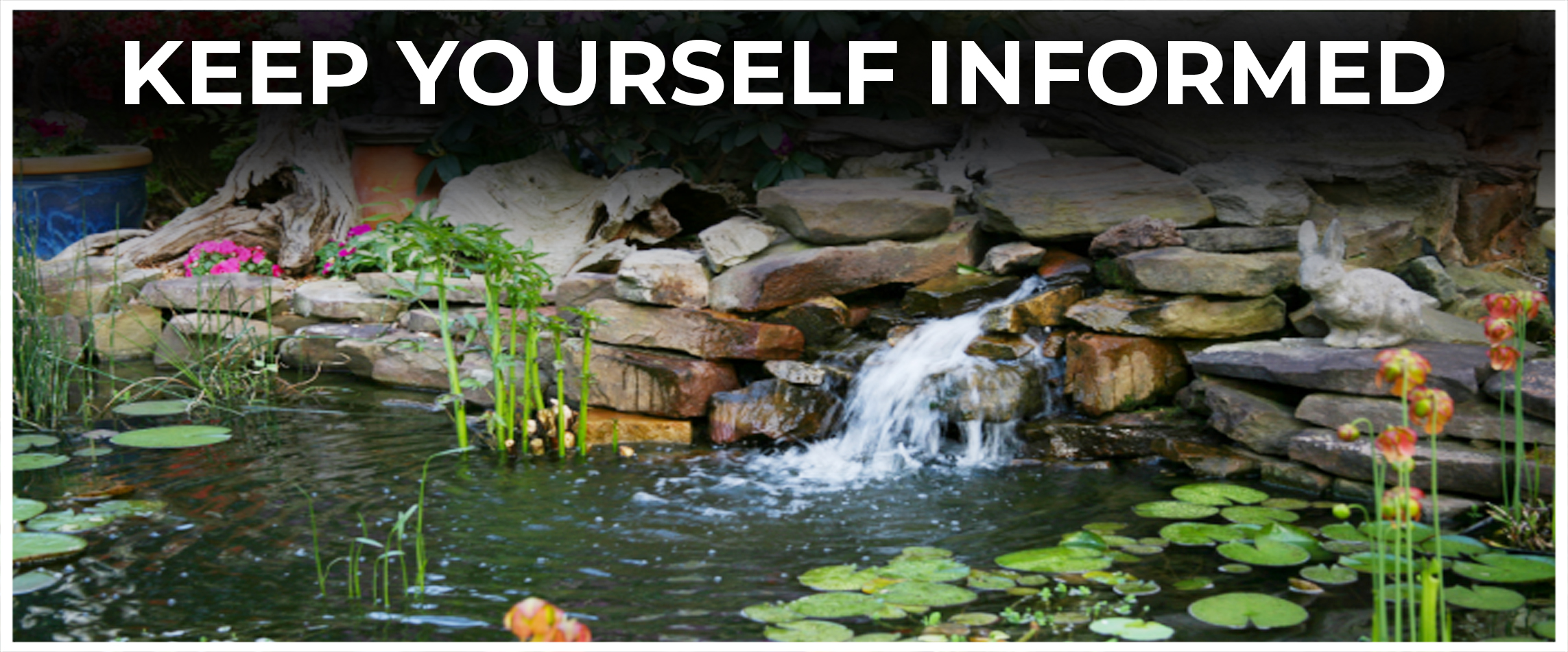  Keep Yourself Informed on Outdoor Ponds