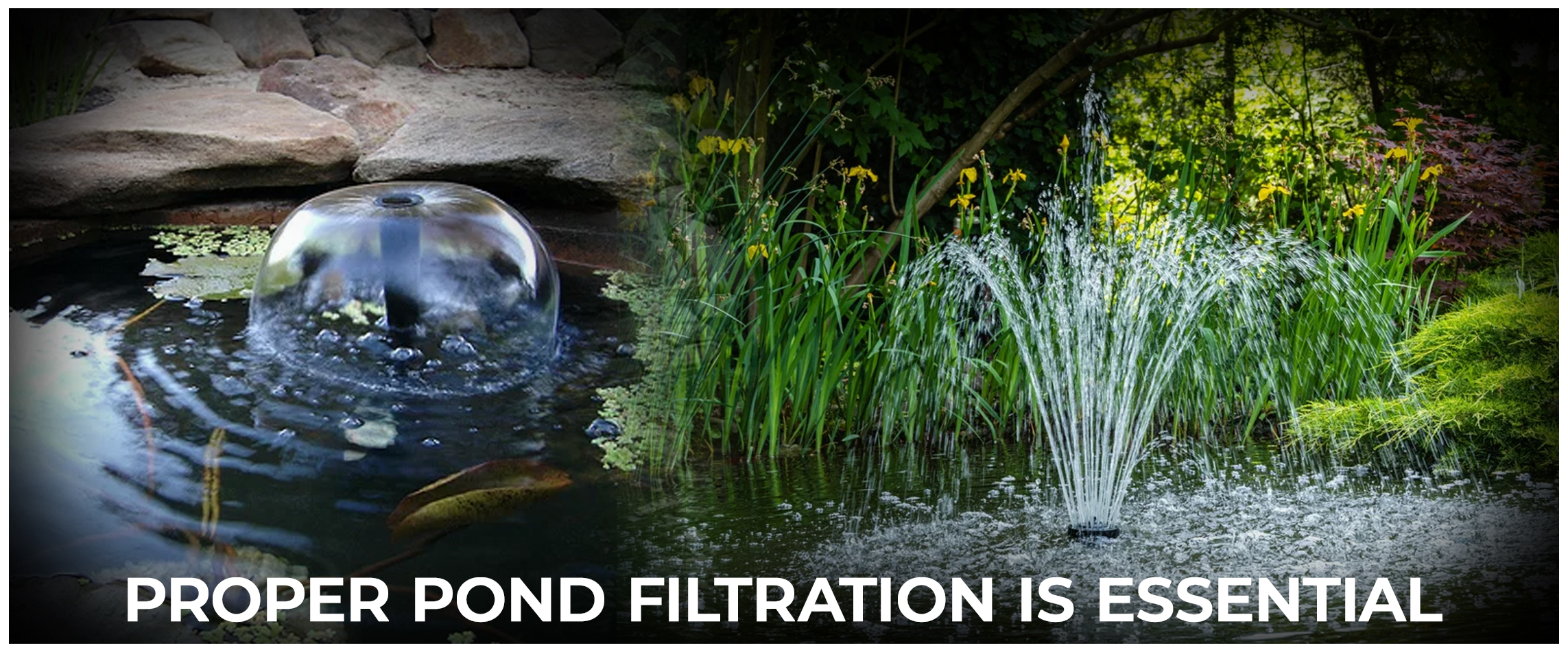 Proper Pond Filtration is Essential - Water Feature