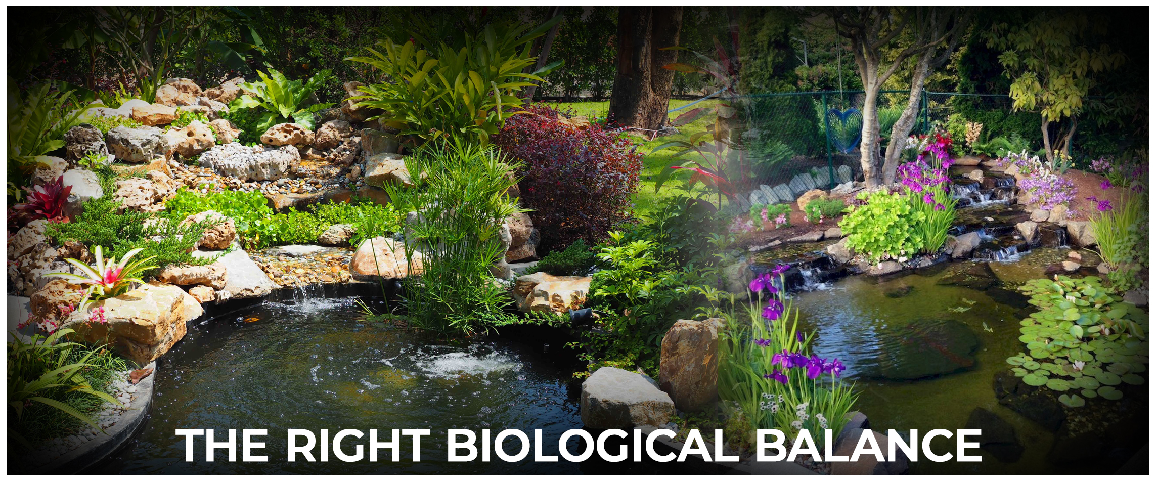  The Right Biological Balance