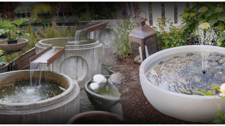 Transform Your Water Feature with Unique and Creative Enhancements