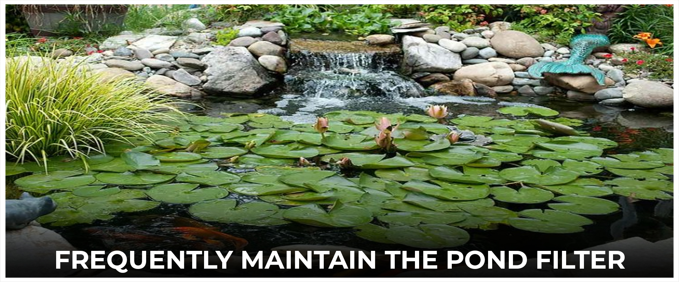  Frequently Maintain the Pond Filter