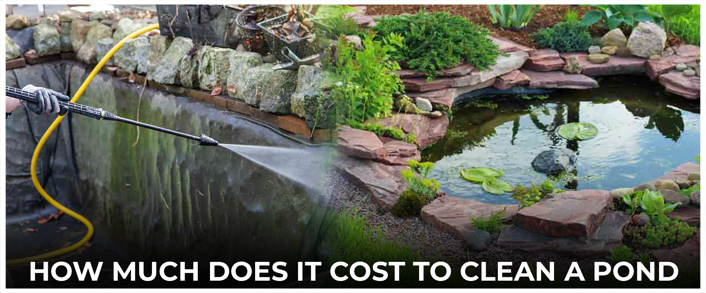 How Much Does It Cost To Clean A Pond