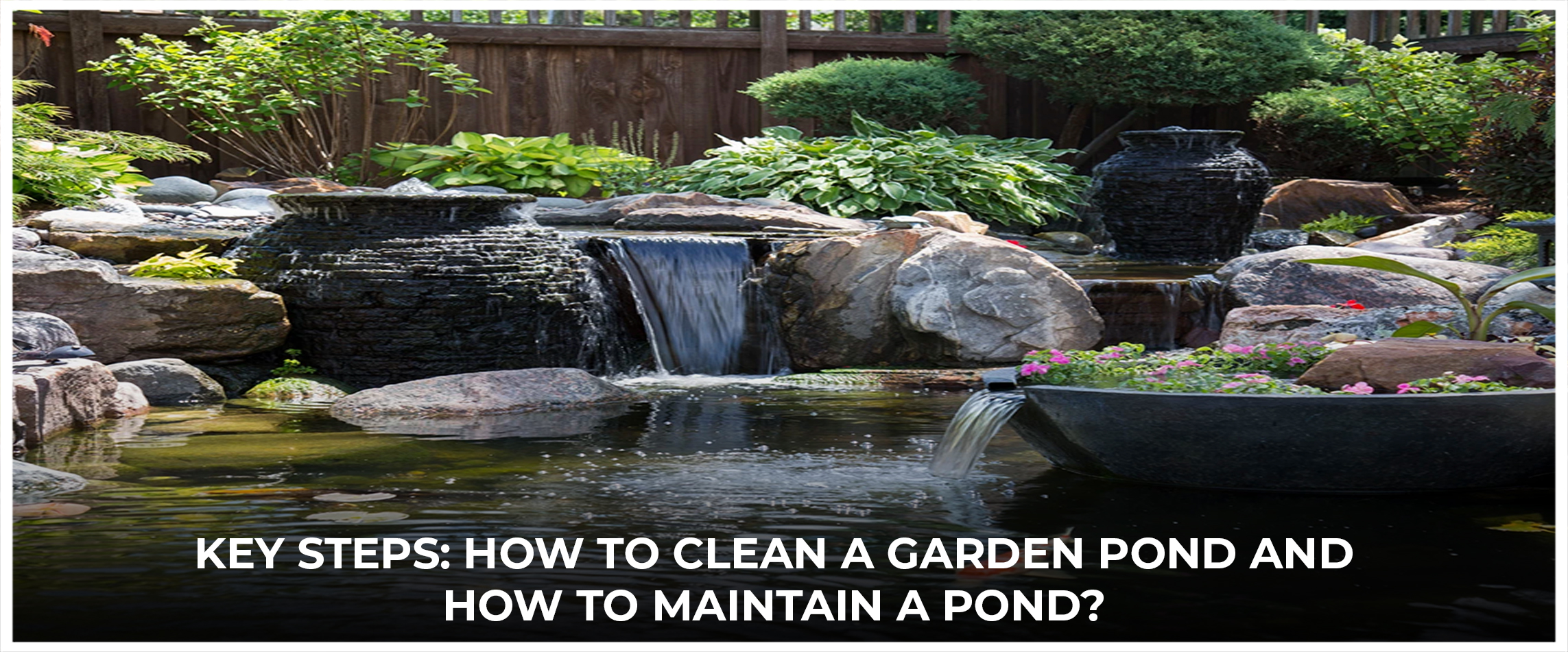  Key Steps How To Clean A Garden Pond and How to Maintain a Pond