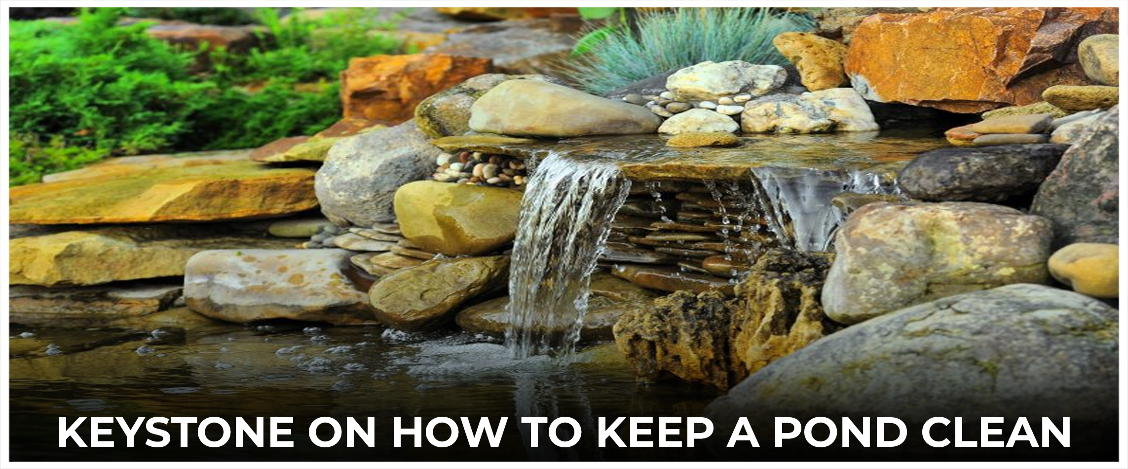 Keystone On How To Keep A Pond Clean