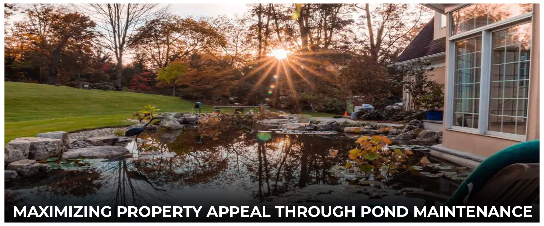  Maximizing Property Appeal through Pond Maintenance