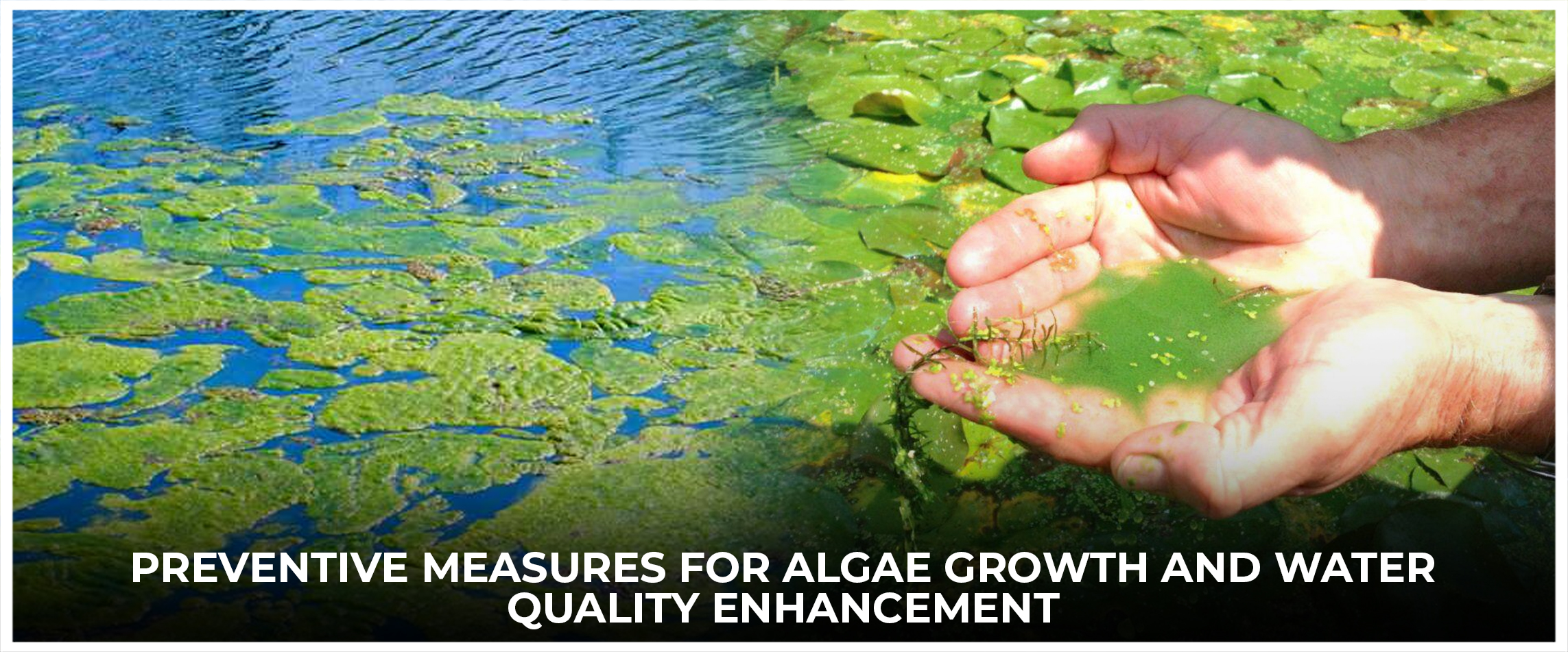 Preventive Measures for Algae Growth and Water Quality Enhancement