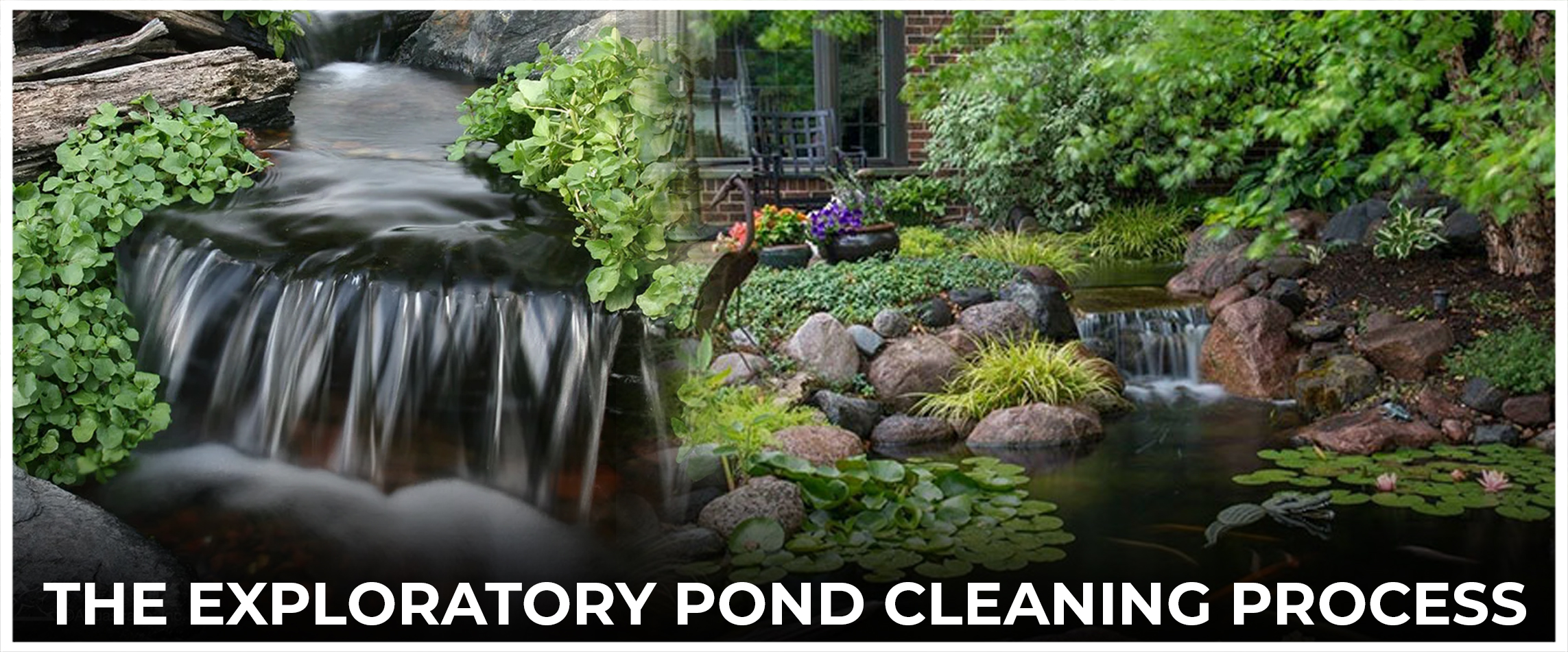  The Exploratory Pond Cleaning Process