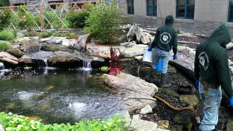 What Is An Exploratory Pond Cleaning?