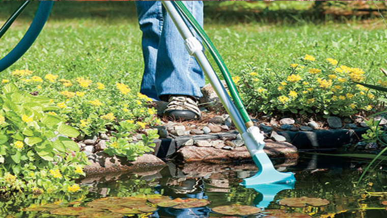 W​hat Is The Importance Of Pond Cleaning In Spring