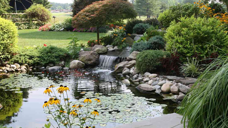 12 Unique Above-Ground Koi Pond Ideas for a Tranquil Outdoor Retreat